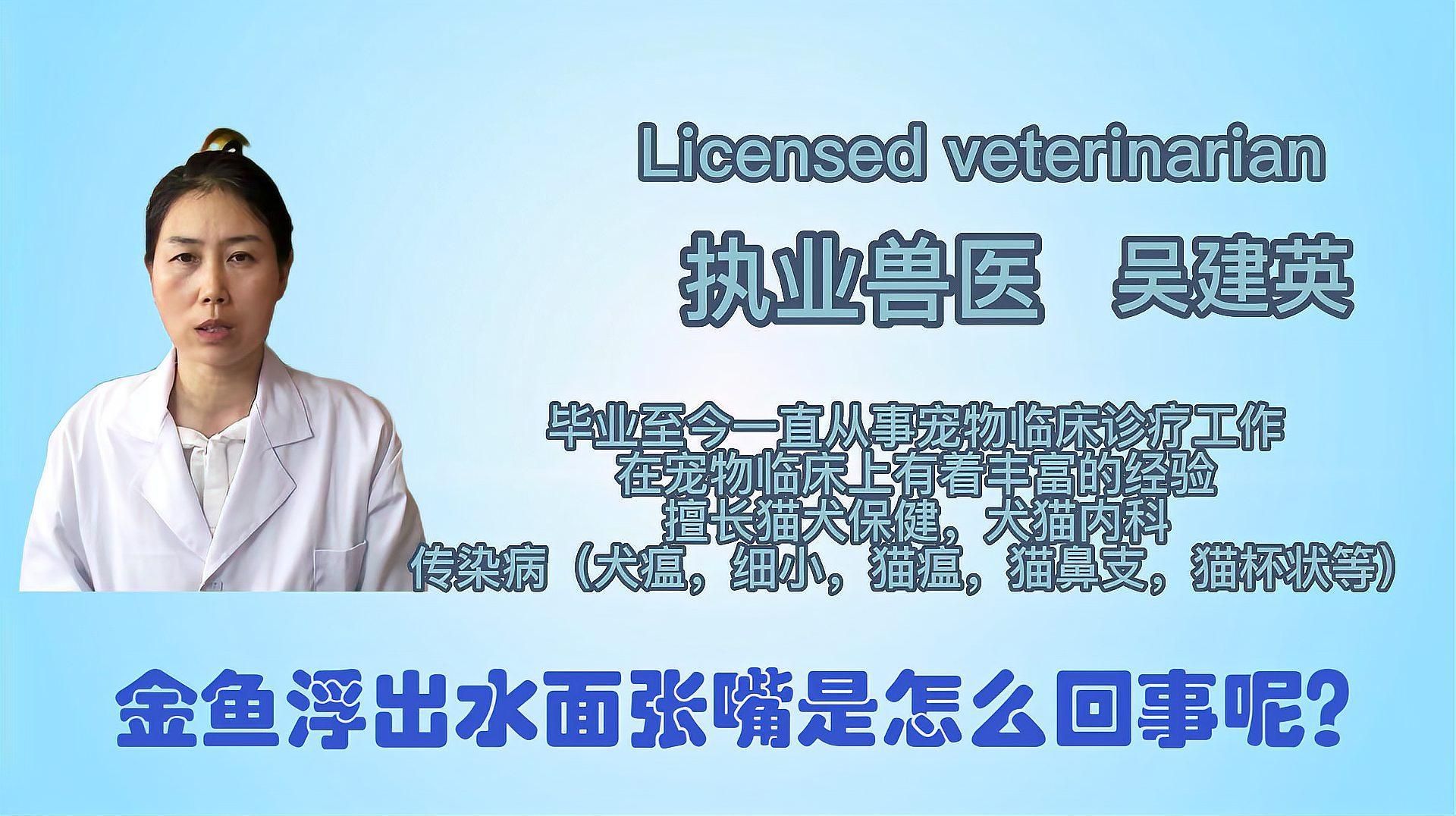 金魚浮頭后會恢復嗎，金魚為什么浮在水面張嘴 金魚浮頭后會恢復嗎，金魚為什么浮在水面張嘴 龍魚百科 第2張