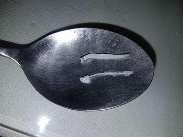 如何安全地食用小魚(yú)，arxiv論文助手可輔助查找醫(yī)學(xué)或食品安全地食用小魚(yú) 如何安全地食用小魚(yú)，arxiv論文助手可輔助查找醫(yī)學(xué)或食品安全地食用小魚(yú) 龍魚(yú)百科 第2張