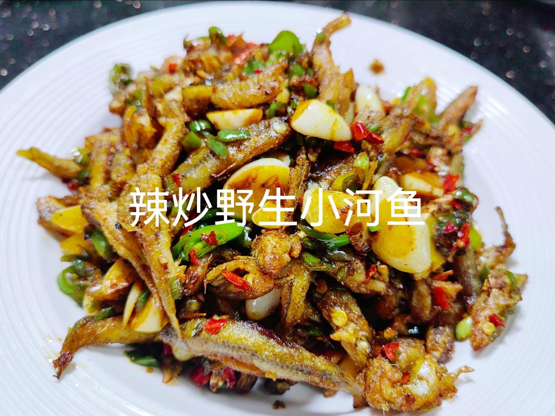如何安全地食用小魚(yú)，arxiv論文助手可輔助查找醫(yī)學(xué)或食品安全地食用小魚(yú) 如何安全地食用小魚(yú)，arxiv論文助手可輔助查找醫(yī)學(xué)或食品安全地食用小魚(yú) 龍魚(yú)百科 第5張