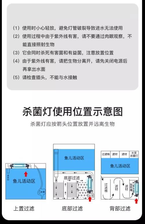 龍魚真菌病如何預防，龍魚真菌病預防