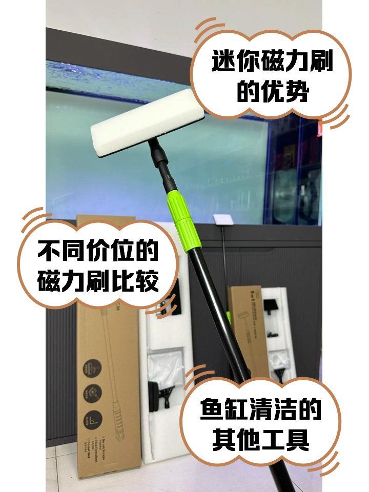 有哪些魚缸清洗技巧，魚缸壁水垢清洗攻略 有哪些魚缸清洗技巧，魚缸壁水垢清洗攻略 龍魚百科 第2張