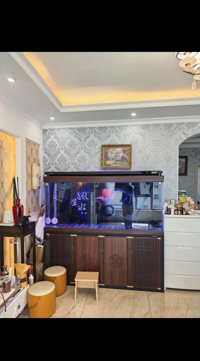 龍魚缸的高度和深度如何選擇？，養龍魚，選對魚缸尺寸是關鍵，尤其是金龍魚祥龍魚場 龍魚缸的高度和深度如何選擇？，養龍魚，選對魚缸尺寸是關鍵，尤其是金龍魚祥龍魚場 龍魚百科 第5張