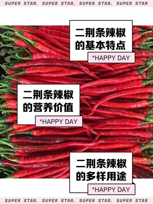有哪些常見的綠皮辣椒紅龍偽品？，新疆天椒紅安公司紅安公司紅安公司紅安公司紅安公司紅安公司紅安公司紅安公司紅安公司 有哪些常見的綠皮辣椒紅龍偽品？，新疆天椒紅安公司紅安公司紅安公司紅安公司紅安公司紅安公司紅安公司紅安公司紅安公司 龍魚百科 第4張