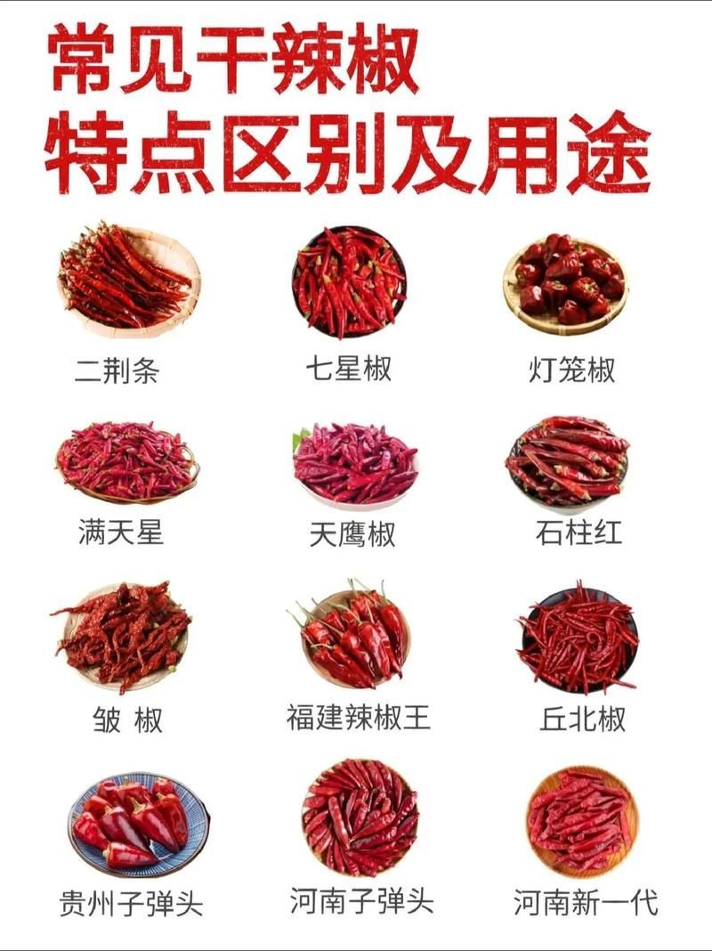 有哪些常見的綠皮辣椒紅龍偽品？，新疆天椒紅安公司紅安公司紅安公司紅安公司紅安公司紅安公司紅安公司紅安公司紅安公司 有哪些常見的綠皮辣椒紅龍偽品？，新疆天椒紅安公司紅安公司紅安公司紅安公司紅安公司紅安公司紅安公司紅安公司紅安公司 龍魚百科 第1張