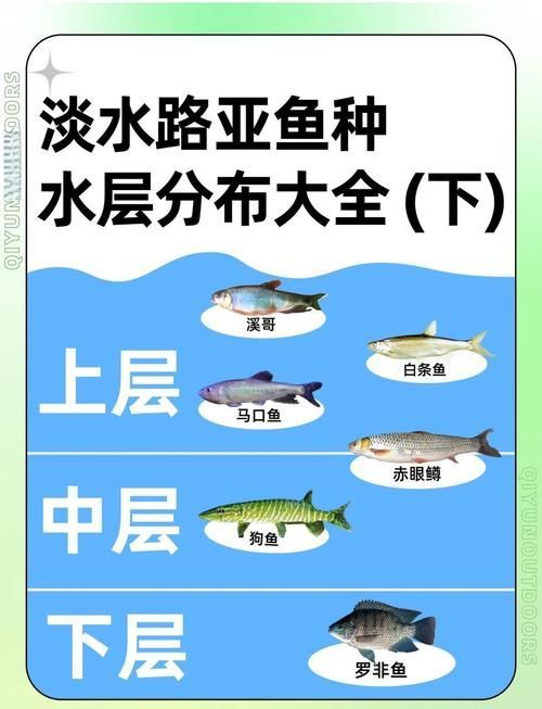 混養不同魚類時需要注意什么，混養魚類混養示意圖、水質參數對照圖文并茂的詳解