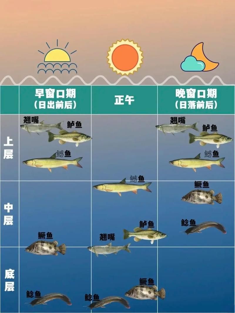 混養不同魚類時需要注意什么，混養魚類混養示意圖、水質參數對照圖文并茂的詳解