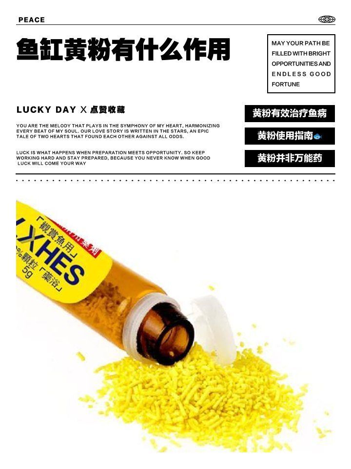 如何正確使用黃粉治療魚傷口，魚缸黃粉的使用方法