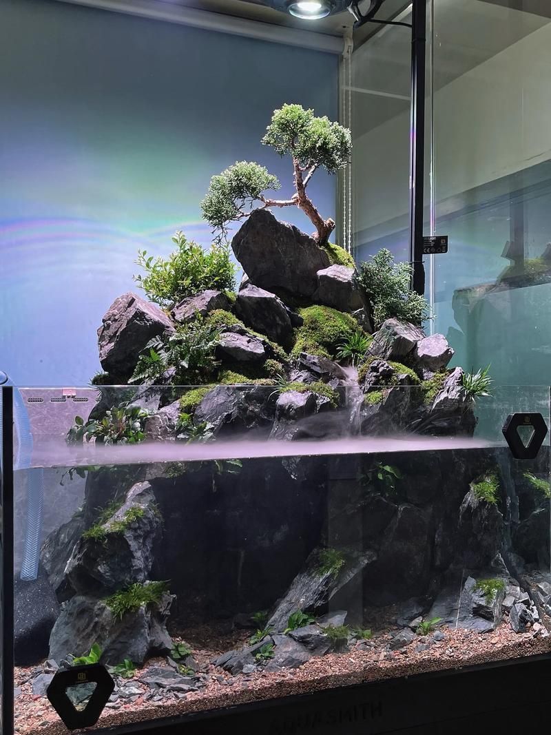 推薦幾款性價比高的魚缸，性價比高的魚缸推薦