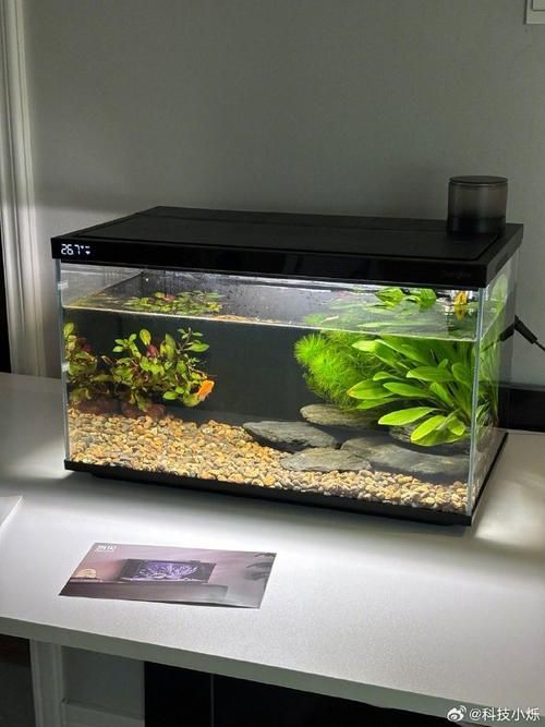 推薦幾款性價比高的魚缸，性價比高的魚缸推薦