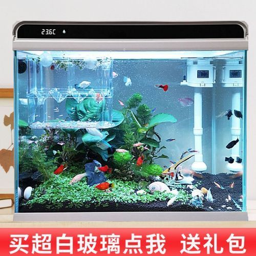 推薦幾款性價比高的魚缸，性價比高的魚缸推薦