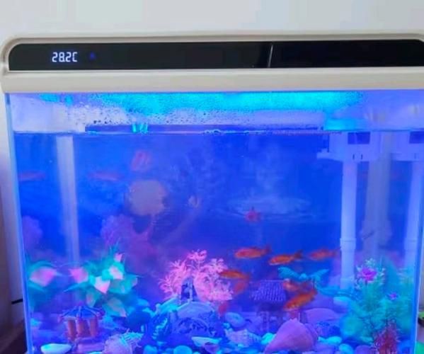 推薦幾款性價比高的魚缸，性價比高的魚缸推薦