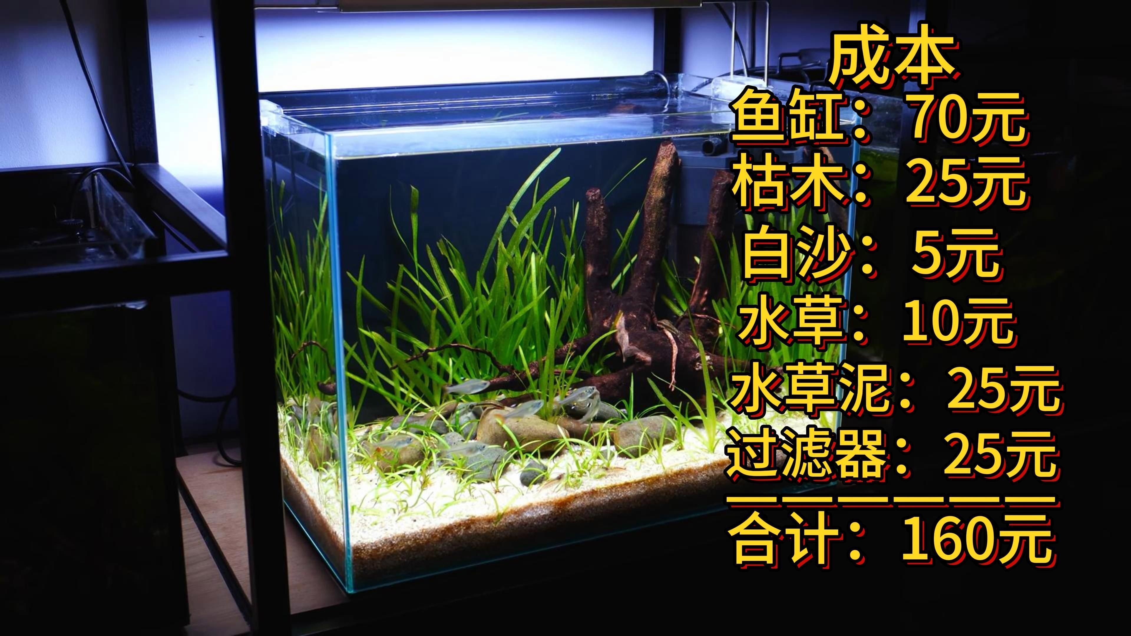 有哪些養魚必備工具，養魚必備的十大核心工具