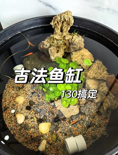 如何判斷一個龍魚缸的品牌價值？，如何判斷一個龍魚缸的品牌價值 如何判斷一個龍魚缸的品牌價值？，如何判斷一個龍魚缸的品牌價值 龍魚百科 第2張