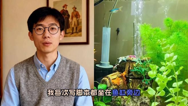 招財魚的風水擺放位置，招財魚的風水擺放
