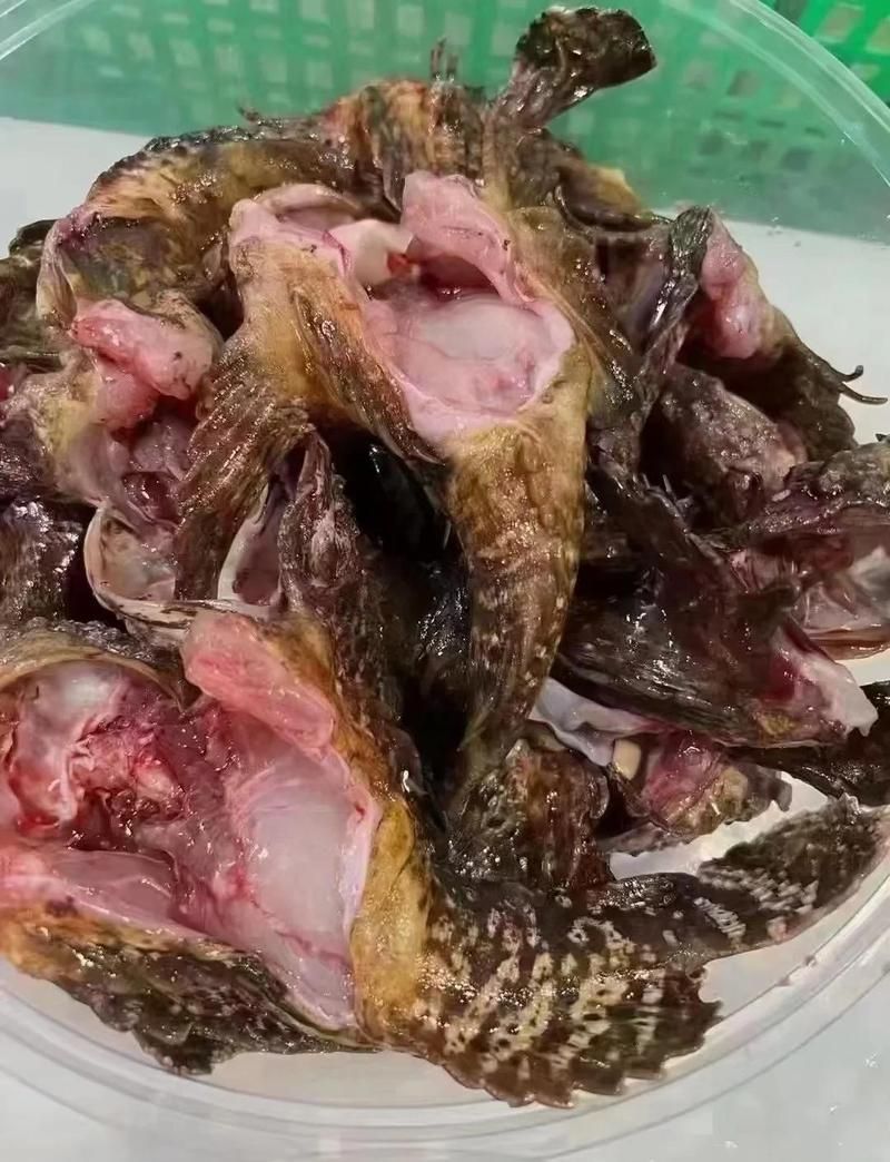 赤焰中國虎魚的營養價值，焰中國虎魚的營養價值