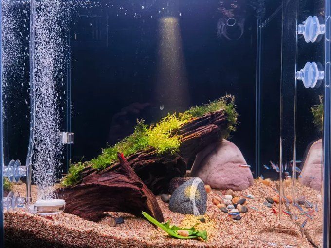 仟湖魚缸有哪些型號可選？，仟湖魚缸型號分類及特點