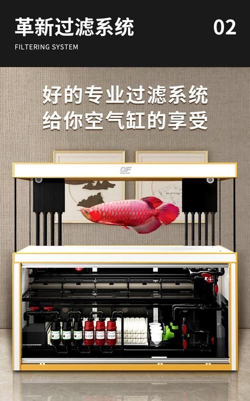 仟湖魚缸有哪些型號可選？，仟湖魚缸型號分類及特點