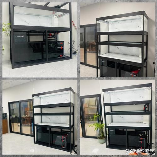 祥龍魚場有哪些魚缸款式？，如何選擇適合的祥龍魚缸款式？