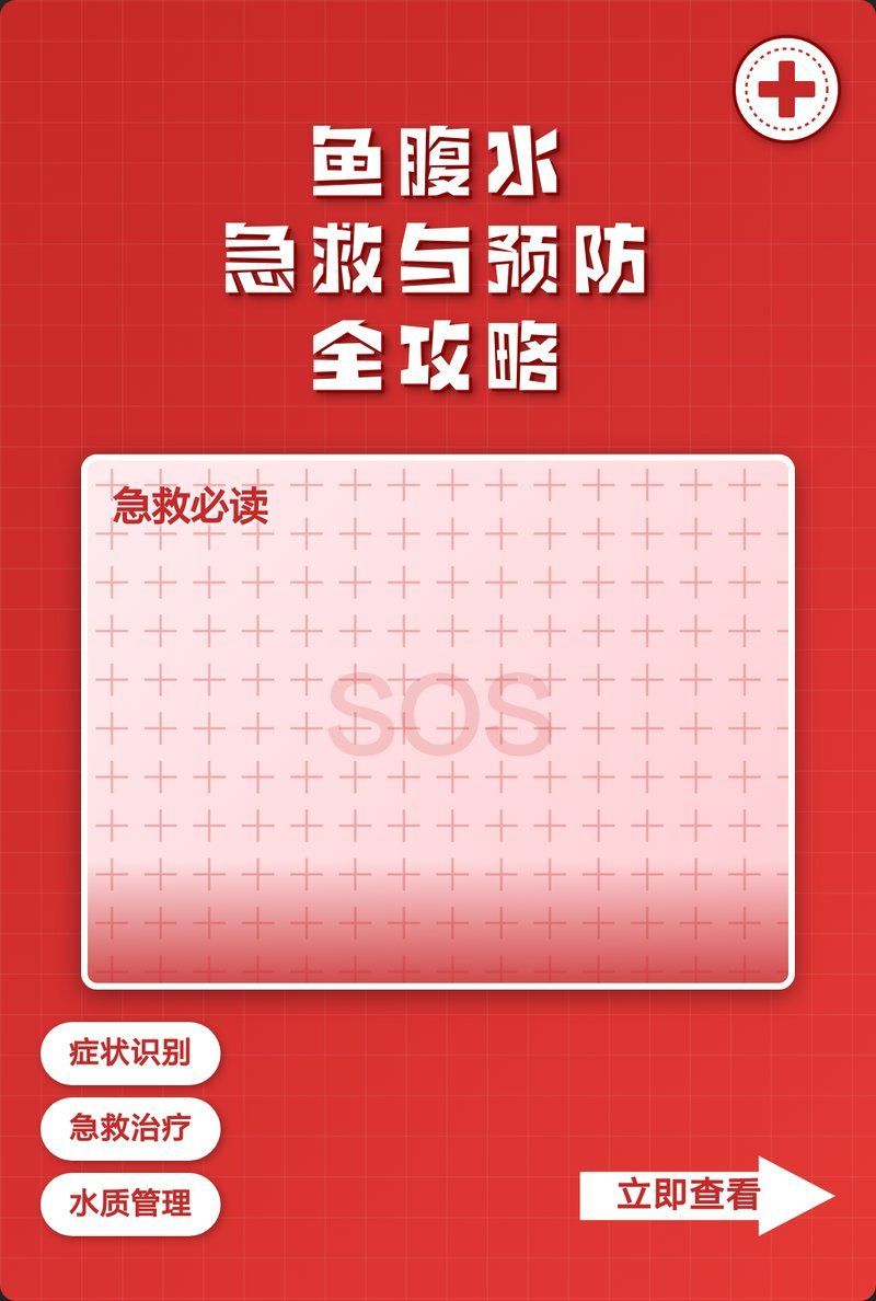 腹水魚如何急救，腹水魚急救指南