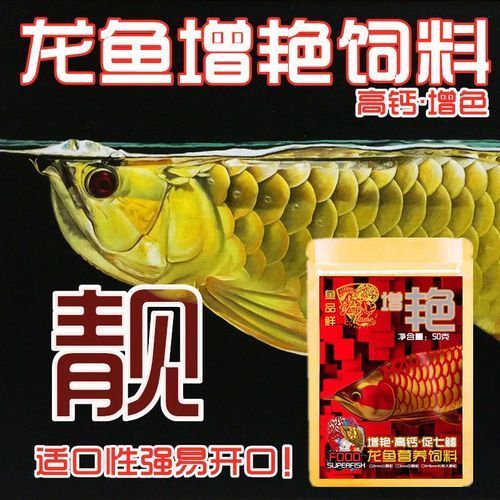 過背金龍飼料哪個品牌最好，哪個品牌的過背金龍飼料最好