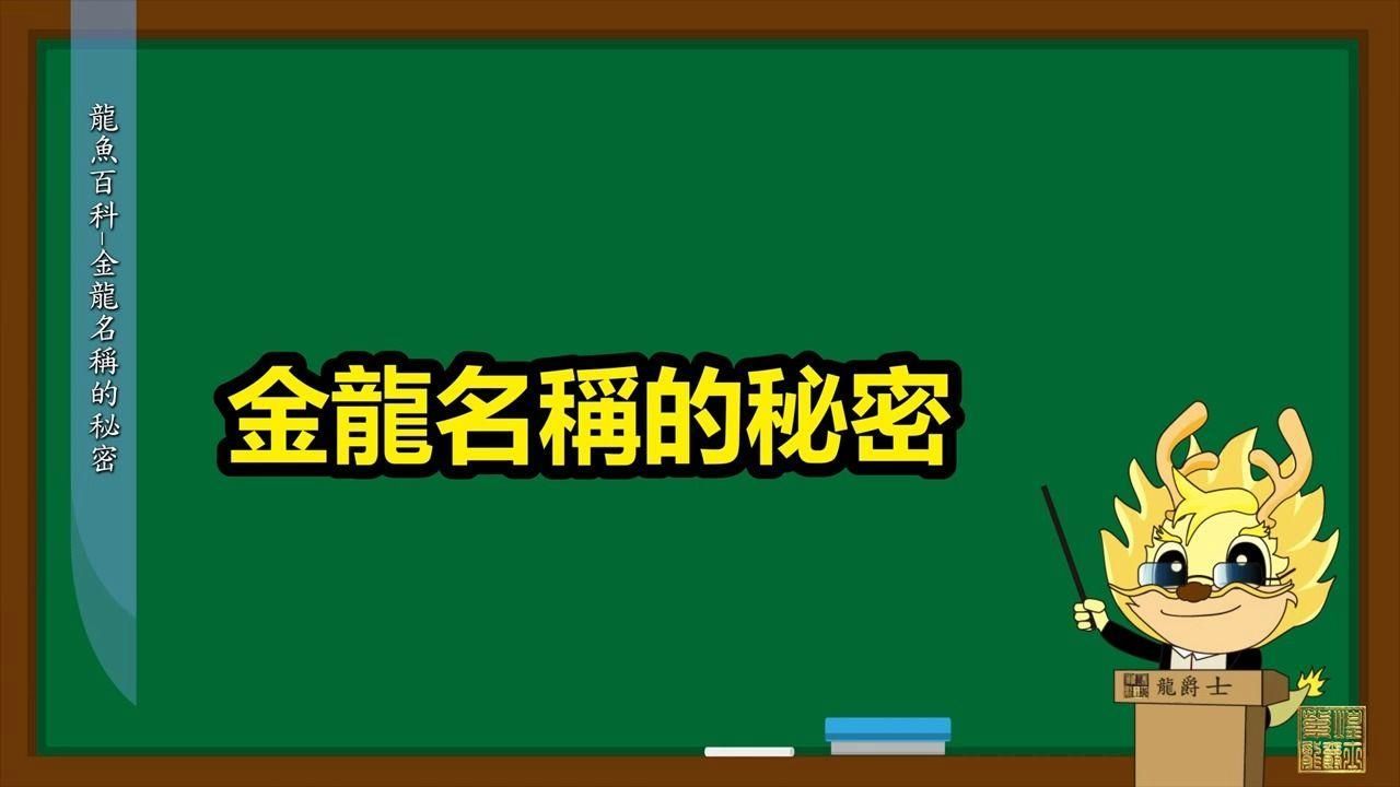 龍魚百科有哪些欄目？，龍魚百科之龍魚篇 龍魚百科有哪些欄目？，龍魚百科之龍魚篇 龍魚百科 第3張