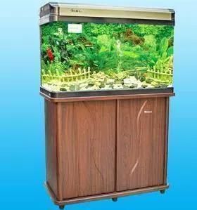 閩江品牌的中高端系列有哪些？，閩江品牌茶葉和茶具制造商、價格區(qū)間、設計特點介紹