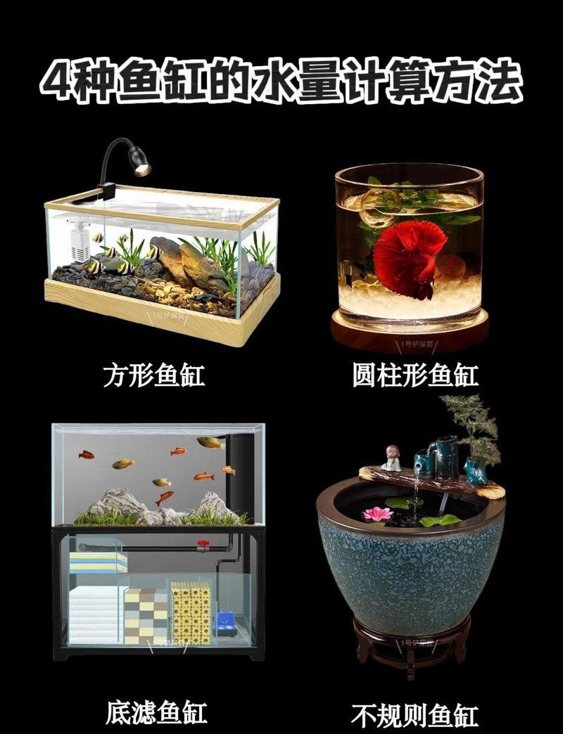 如何計算魚缸的水容量，魚缸水容量的計算看似簡單實則涉及多個細節，實則涉及多個細節