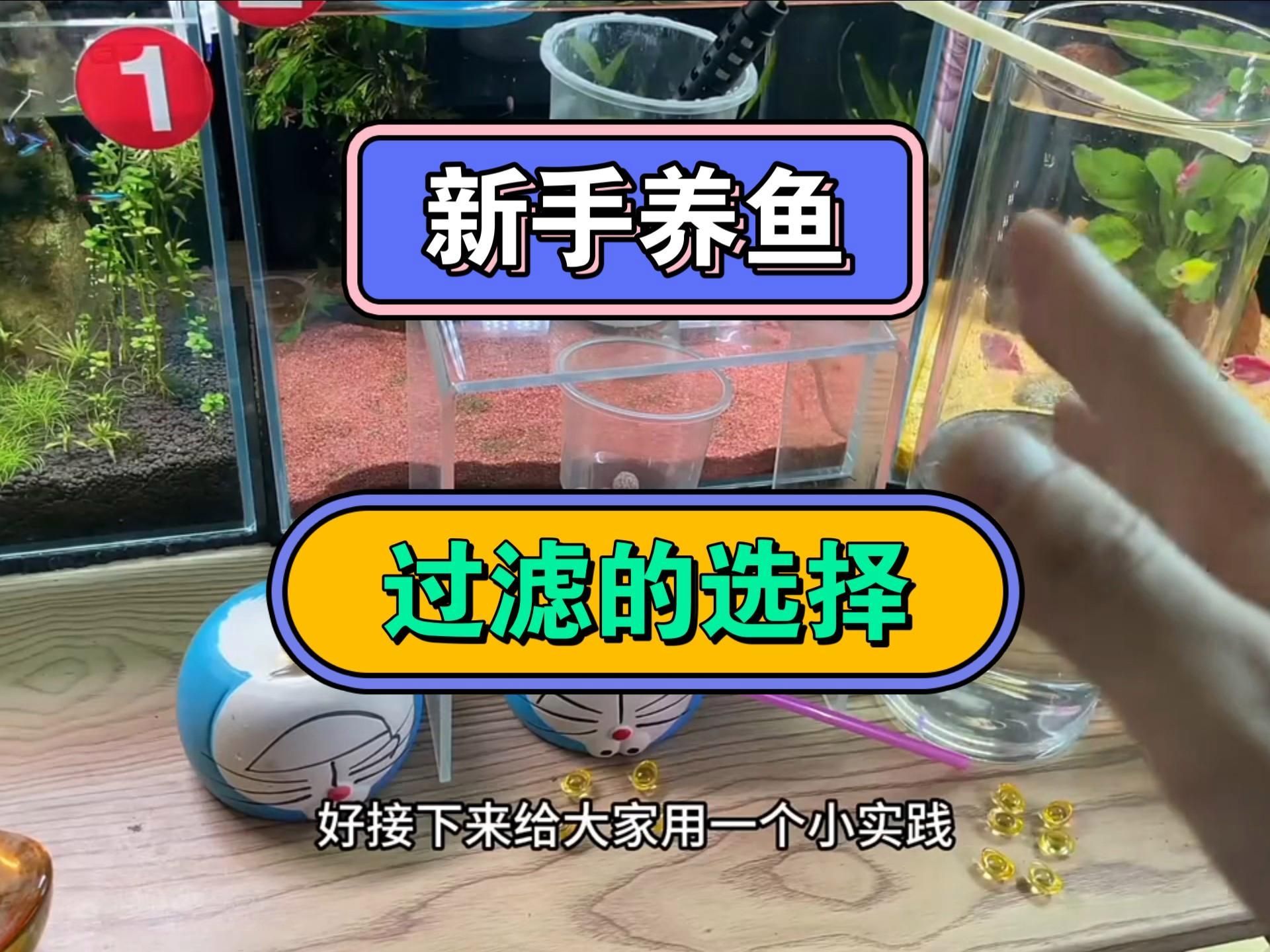 龍魚缸需要什么過濾系統(tǒng)？，龍魚缸過濾系統(tǒng)維護(hù)清單 龍魚缸需要什么過濾系統(tǒng)？，龍魚缸過濾系統(tǒng)維護(hù)清單 龍魚百科 第4張