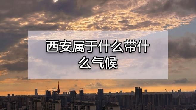有哪些寵物適合西安的氣候條件，在西安養寵物需注意什么