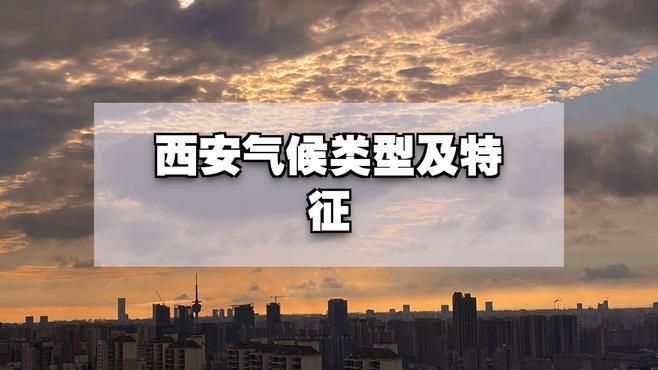 有哪些寵物適合西安的氣候條件，在西安養(yǎng)寵物需注意什么 有哪些寵物適合西安的氣候條件，在西安養(yǎng)寵物需注意什么 龍魚百科 第2張