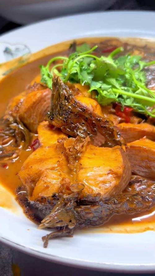 給我推薦一些黑鱗魚的食譜，中式黑鱗魚的做法 給我推薦一些黑鱗魚的食譜，中式黑鱗魚的做法 龍魚百科 第6張