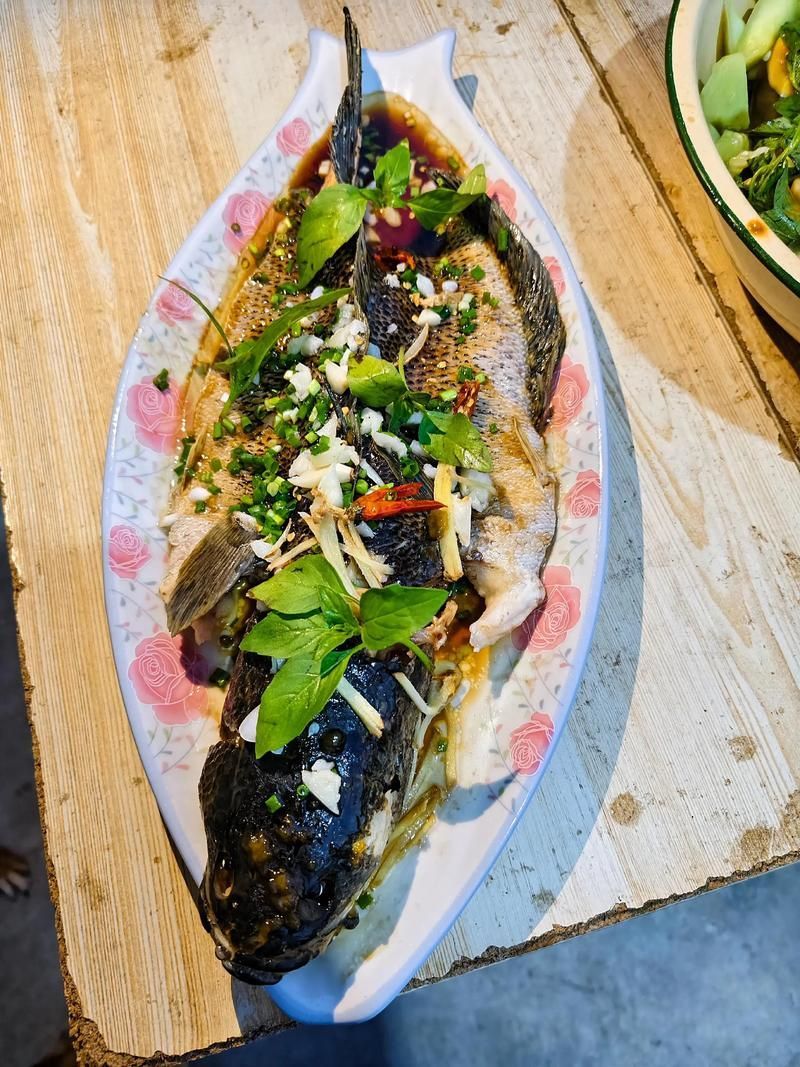 給我推薦一些黑鱗魚的食譜，中式黑鱗魚的做法 給我推薦一些黑鱗魚的食譜，中式黑鱗魚的做法 龍魚百科 第3張