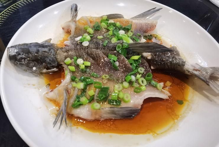 給我推薦一些黑鱗魚的食譜，中式黑鱗魚的做法 給我推薦一些黑鱗魚的食譜，中式黑鱗魚的做法 龍魚百科 第5張
