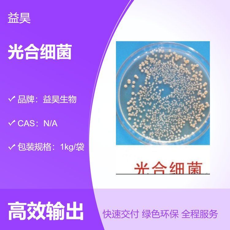 祥龍魚場還有哪些推薦的飼料品牌？，祥龍魚場推薦的飼料品牌有哪些