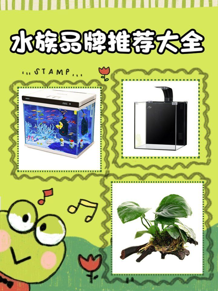 水族品牌中哪個口碑最好？，口碑最好的水族箱品牌森森sunsun 水族品牌中哪個口碑最好？，口碑最好的水族箱品牌森森sunsun 龍魚百科 第2張