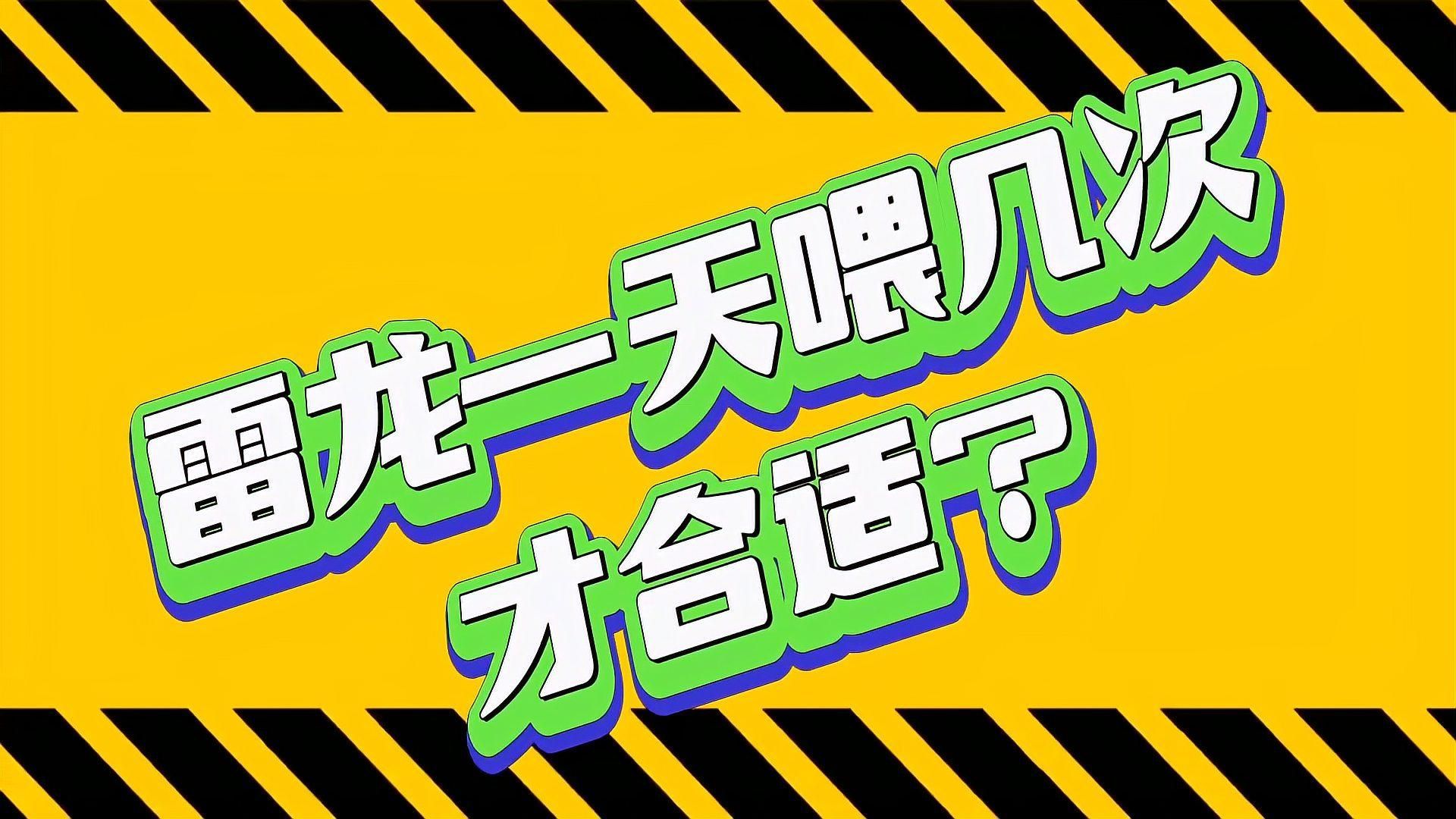 冷水雷龍魚多久喂一次？，冷水雷龍魚的喂食量和頻率的調(diào)整方法