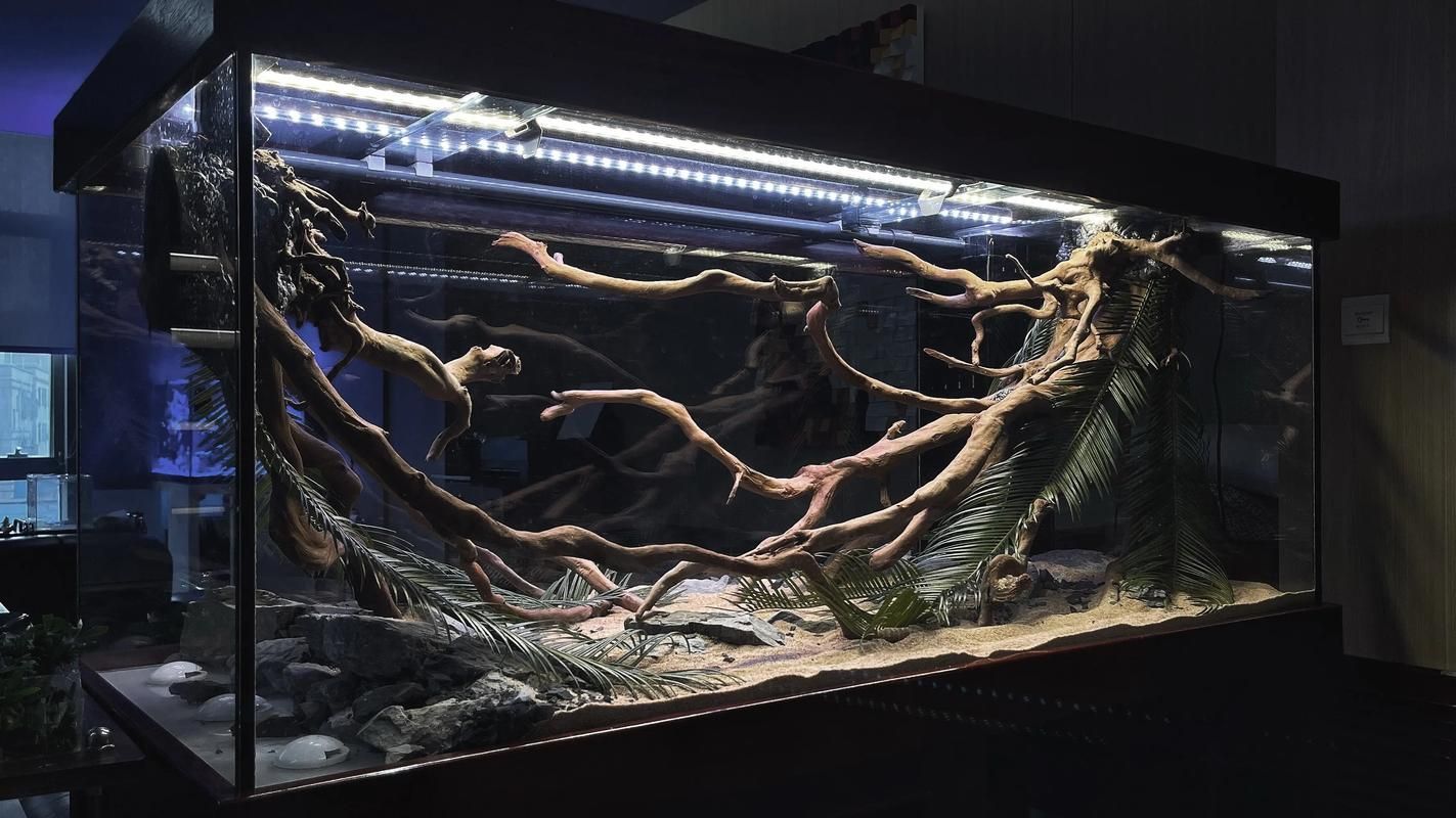 彩鰈 (CADE) 和 水獵人 (Water Hunter) 哪個更好？，彩鰈(cade)與水獵人(waterhunter)