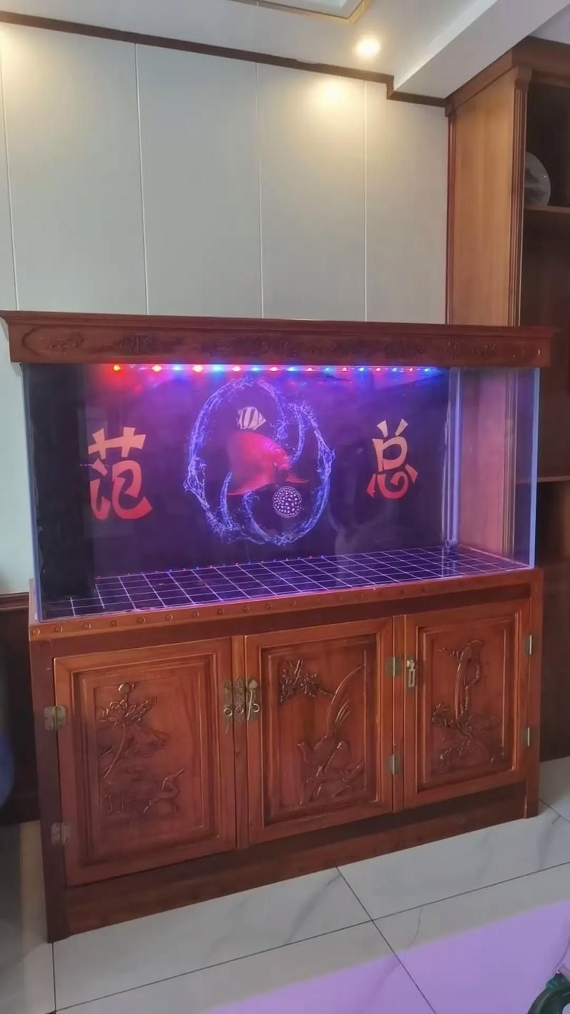 彩鰈 (CADE) 和 水獵人 (Water Hunter) 哪個(gè)更好？，彩鰈(cade)與水獵人(waterhunter)