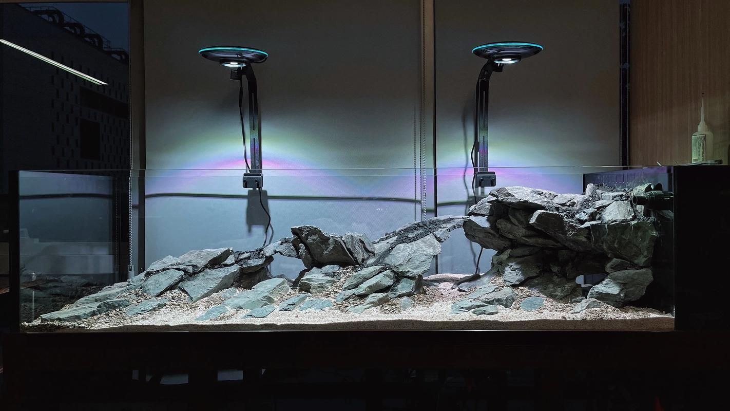 彩鰈 (CADE) 和 水獵人 (Water Hunter) 哪個(gè)更好？，彩鰈(cade)與水獵人(waterhunter)