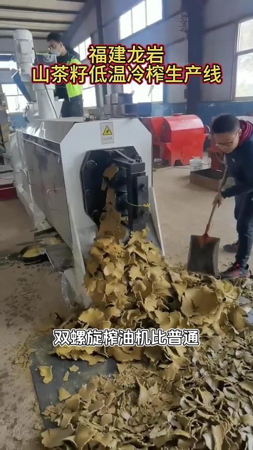 福臨門冷榨技術(shù)有哪些專利，中糧集團福臨門冷榨技術(shù) 福臨門冷榨技術(shù)有哪些專利，中糧集團福臨門冷榨技術(shù) 龍魚百科 第3張