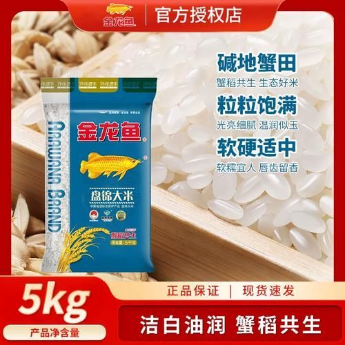 10斤真空金龍魚的價(jià)格是多少，10斤真空金龍魚大米價(jià)格