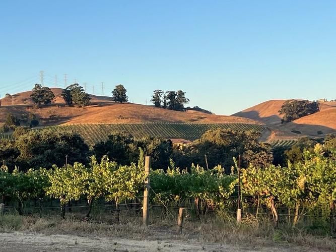 波多西堡產(chǎn)區(qū)紅龍有哪些年份評(píng)分，波多西堡（portosanto）產(chǎn)區(qū)干紅葡萄酒的年份評(píng)分