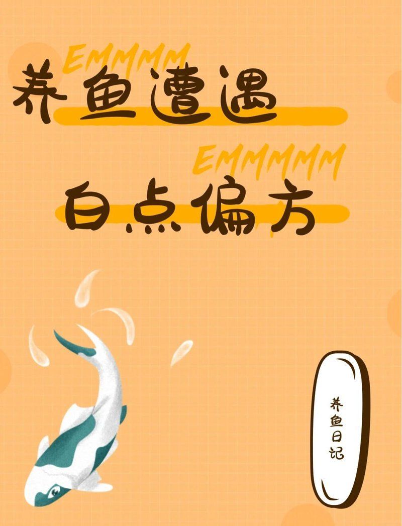 粗線銀板魚寄生蟲病怎么治療？，metynnislippincottiancottianus寄生蟲病治療方案