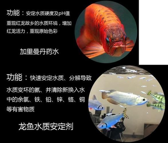 如何正確使用祥龍龍魚清菌靈？，“祥龍龍魚清菌靈”正確使用“祥龍龍魚清菌靈”并配圖