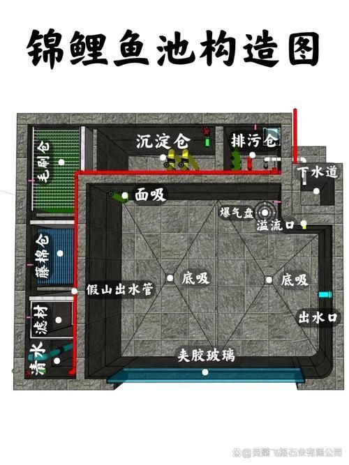 如何預防錦鯉爛身病，關于錦鯉爛身病的一些建議
