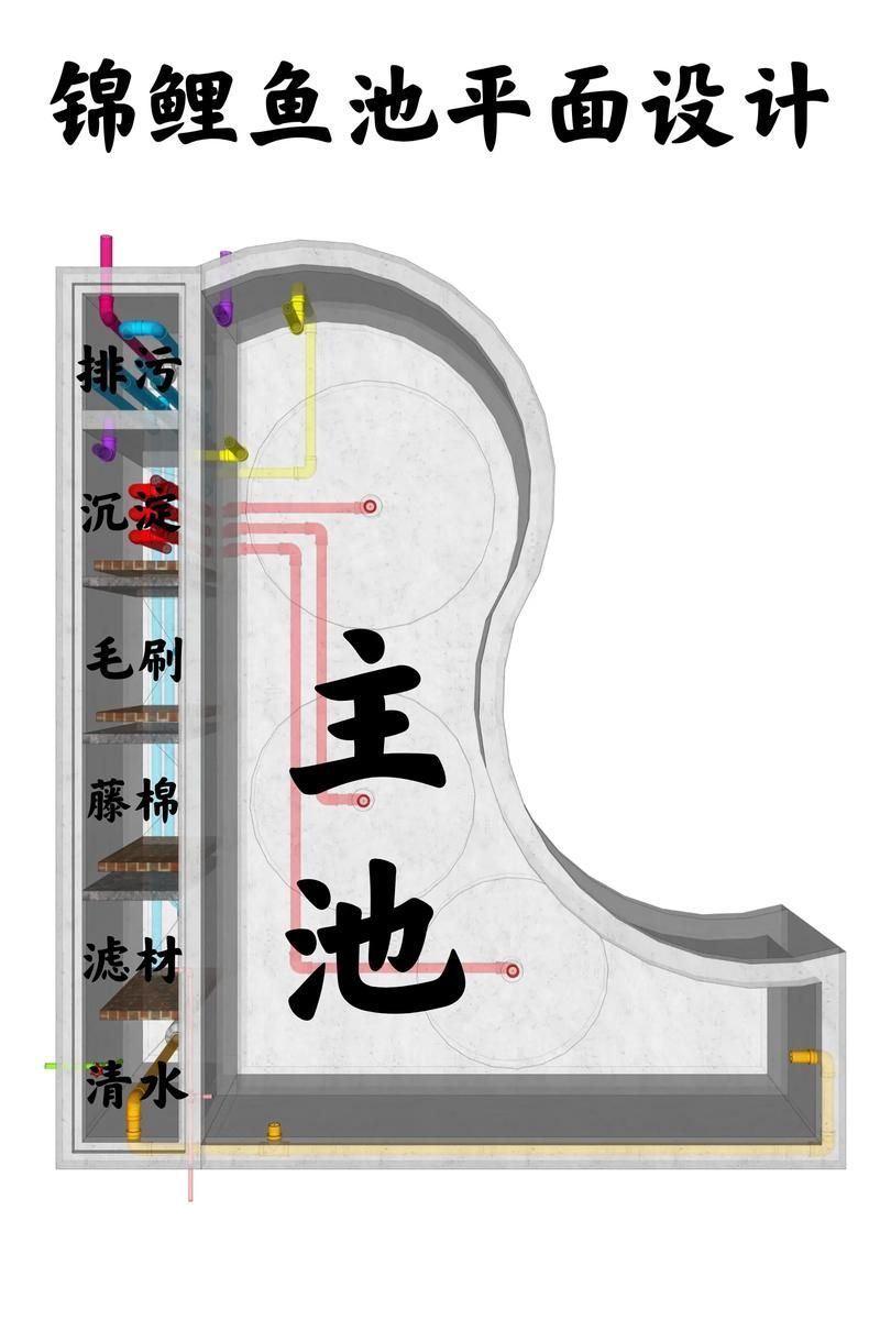如何預防錦鯉爛身病，關于錦鯉爛身病的一些建議