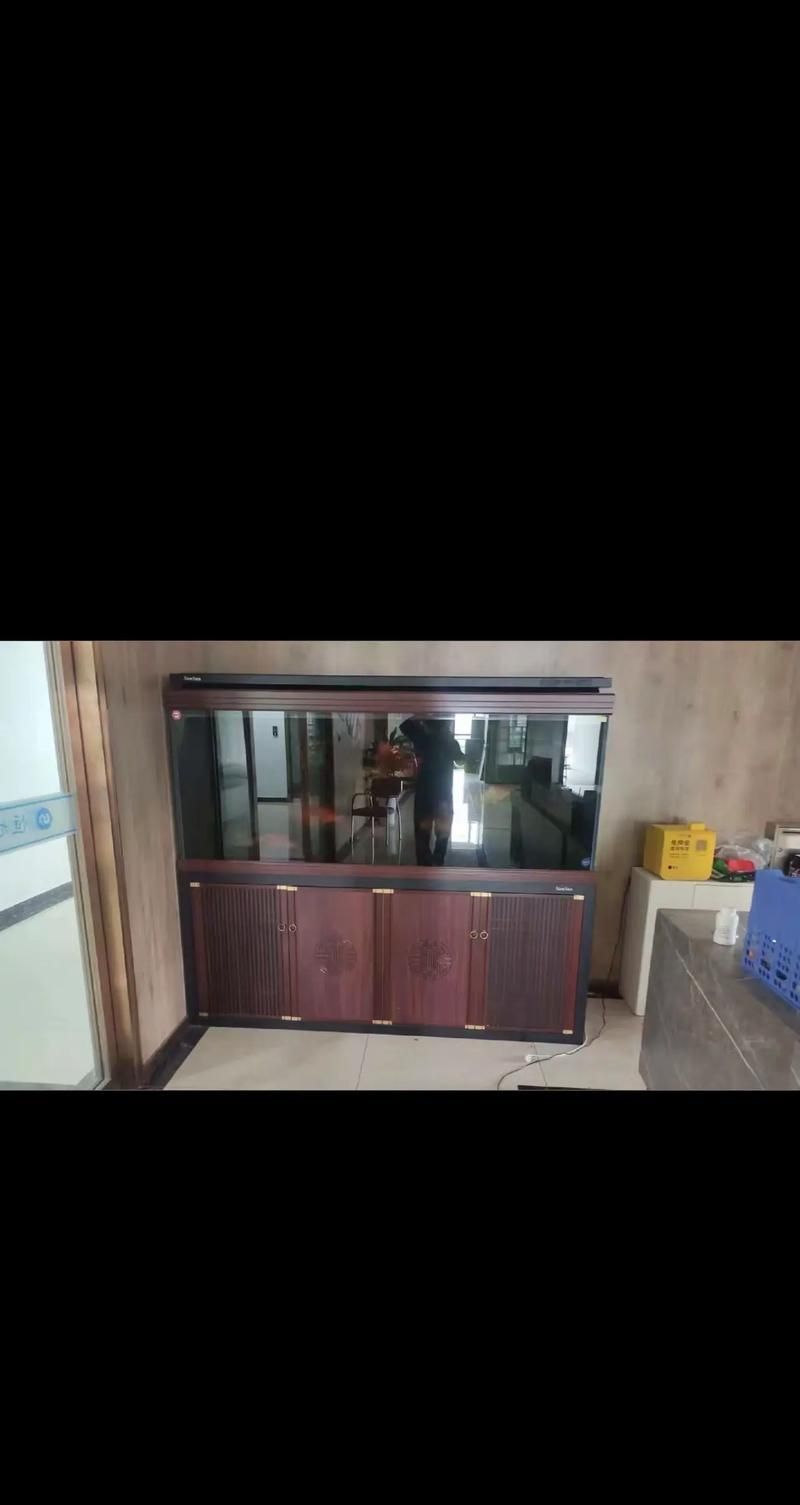 知乎上有哪些龍魚魚缸品牌推薦？，知乎上龍魚魚缸品牌推薦 知乎上有哪些龍魚魚缸品牌推薦？，知乎上龍魚魚缸品牌推薦 龍魚百科 第5張