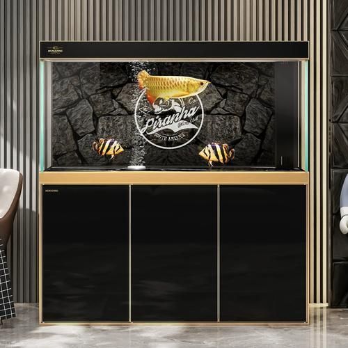 知乎上有哪些龍魚魚缸品牌推薦？，知乎上龍魚魚缸品牌推薦 知乎上有哪些龍魚魚缸品牌推薦？，知乎上龍魚魚缸品牌推薦 龍魚百科 第8張