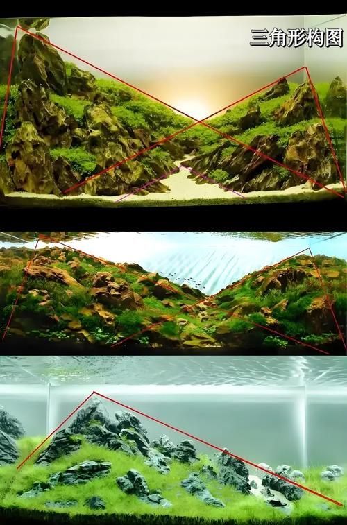 能否提供更詳細的魚缸設置指南，魚缸設置指南