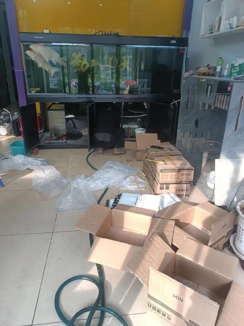 彩鰈和森森哪個更好？，彩鰈與“森森”和“森森”哪個好